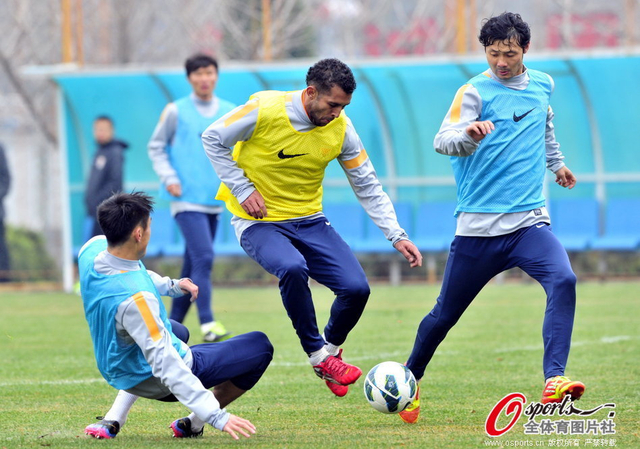 郑铮马塞纳和汪强