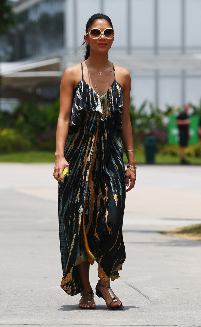 汉密尔顿的女友小野猫