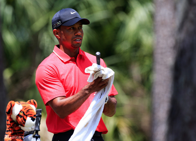 伍兹擦干球杆握柄