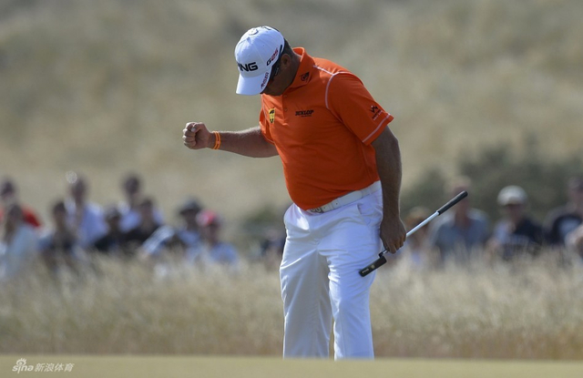 白老虎握拳庆祝老鹰