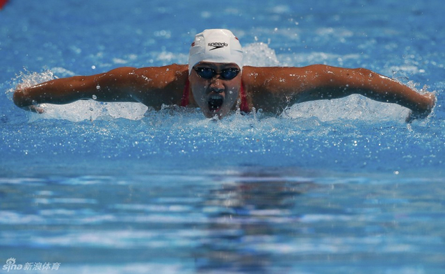 刘子歌鱼翔浅底