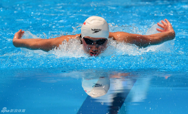 焦刘洋泳池中前行