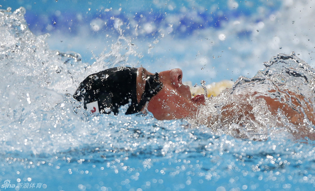 罗切特水中掠影