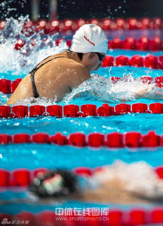 小叶子仍在不断拼搏