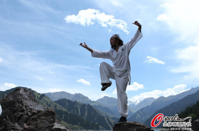 来一招苍松迎客