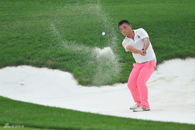 辽宁铁岭龙山吴鹏