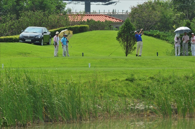 京基乡村芦苇畔