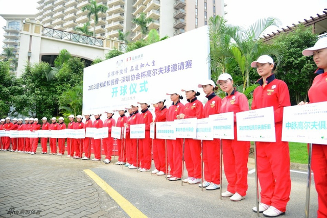 30家协会参赛牌