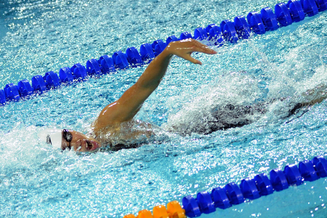 沈铎夺得100米自由泳冠军