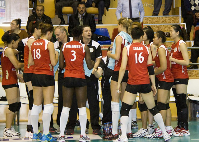 土耳其主帅指挥