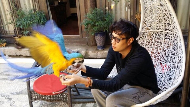 男排于大伟变形记