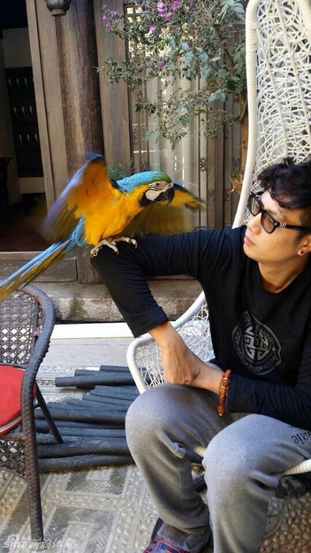 于大伟和鹦鹉