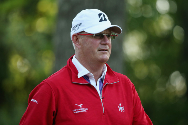 桑迪-莱尔红衣焕发