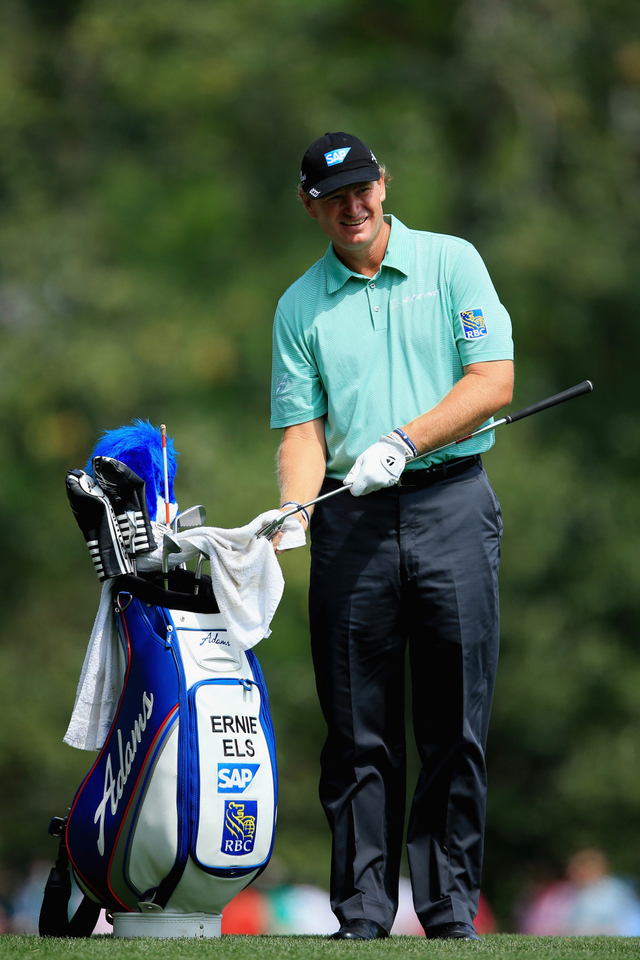 南非雄狮埃尔斯