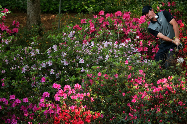 小白球飞起来了