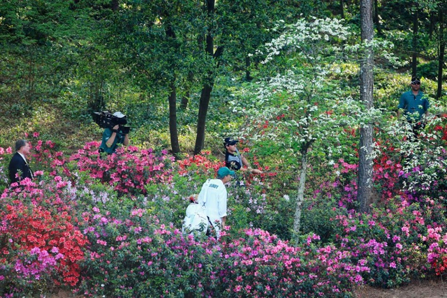 一人救球多人围观