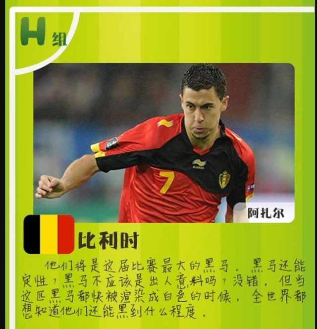 H组-大黑马比利时