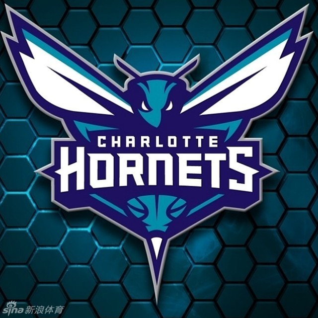 夏洛特黄蜂新队名发布