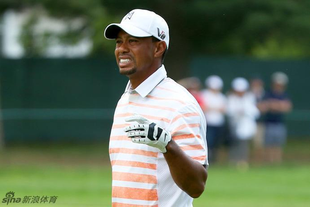 2013年6月左手腕受伤AT&T全美锦标赛缺席