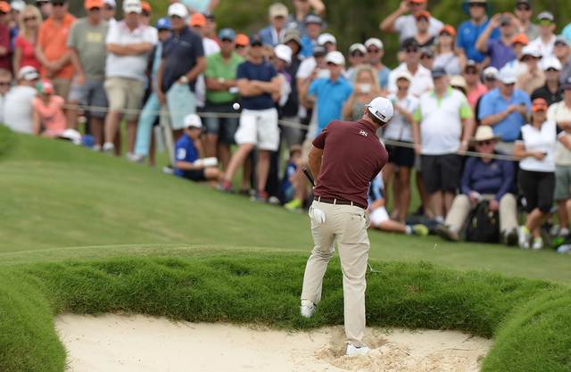 斯科特长草救球