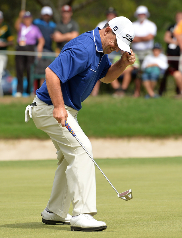 格雷格-查尔默斯推进小鸟