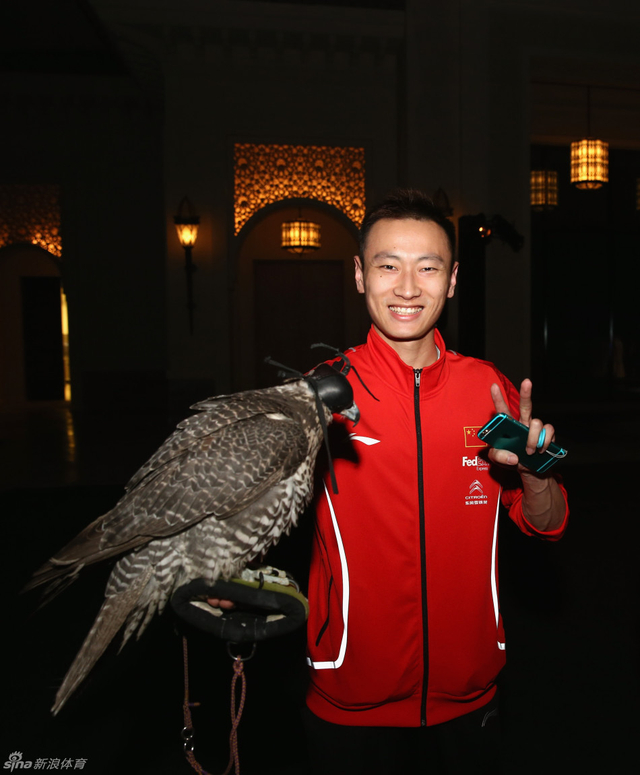 张楠近距离接触老鹰