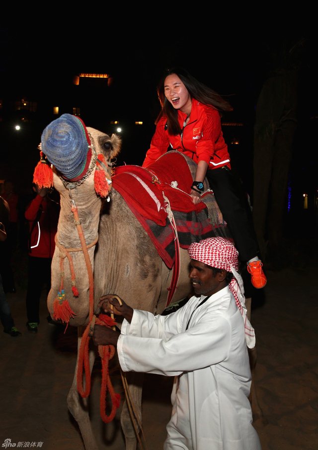 包宜鑫感受骆驼