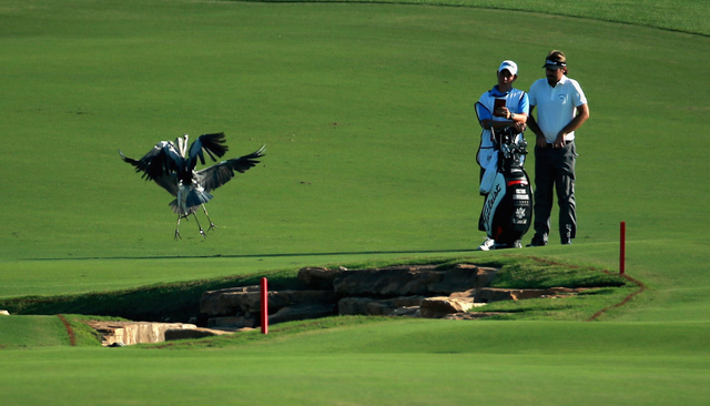 空中看客自带飞行器