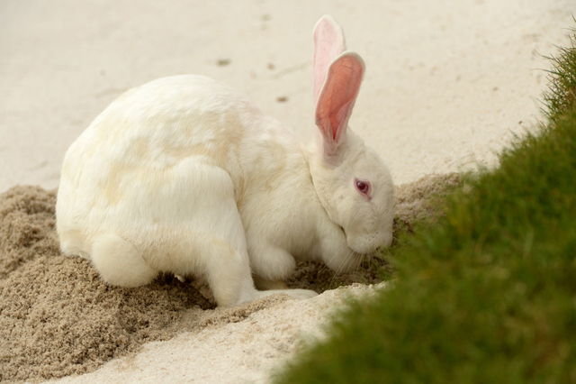 这个沙子好软哦~