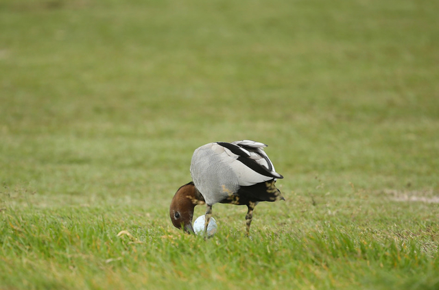 这个味道如何？