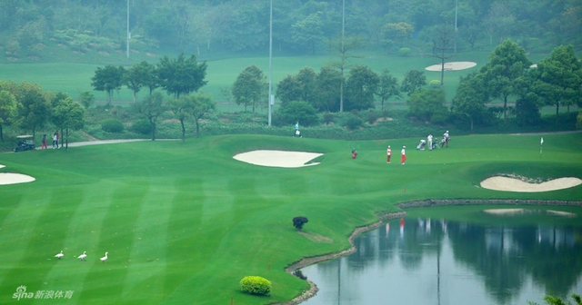 小动物观看小球员下场练习