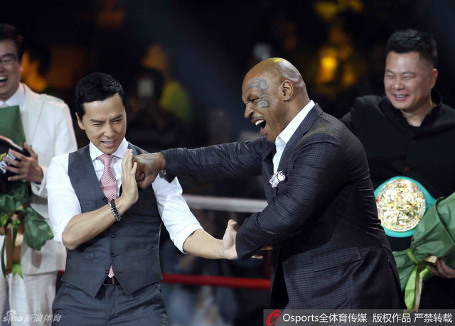 泰森甄子丹叶问3过招