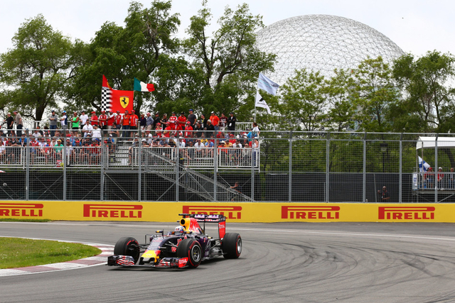 红牛车队里卡多