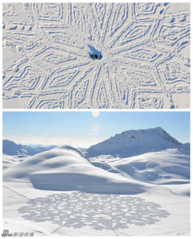 “雪地上的雪花”