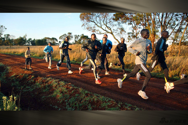 13-这里的人们很喜欢基普桑