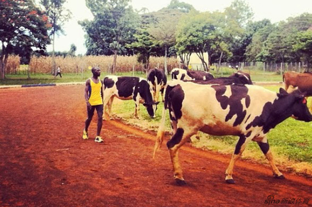 15-跑步的唯一意义就是摆脱贫穷