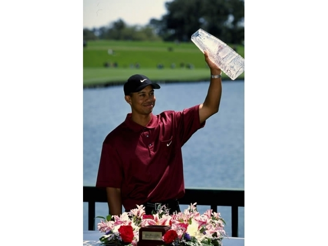 第26冠：2001年 球员锦标赛