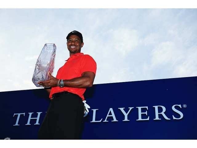 第78冠：2013年 球员锦标赛