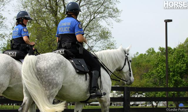 国外美女警官骑马巡街 新浪图片