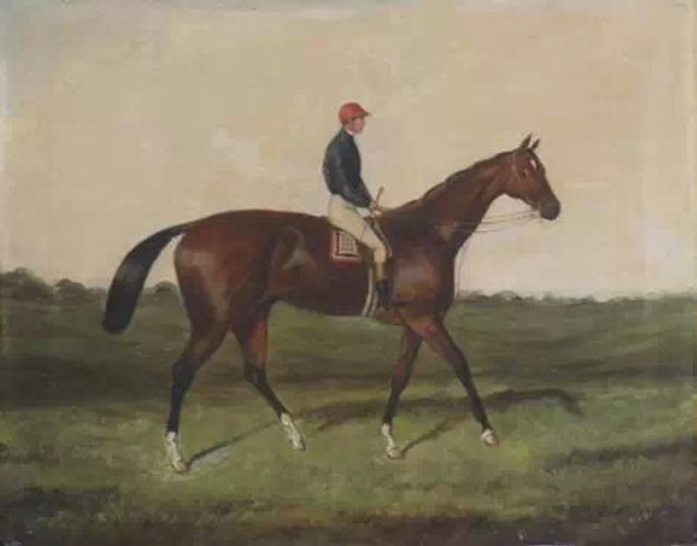 老约翰·费纳里的油画《马术》
