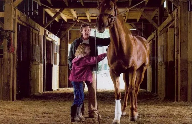 《梦想奔驰》(2005年)