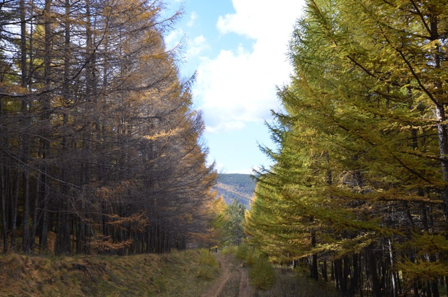 探路“醉美”黄花沟