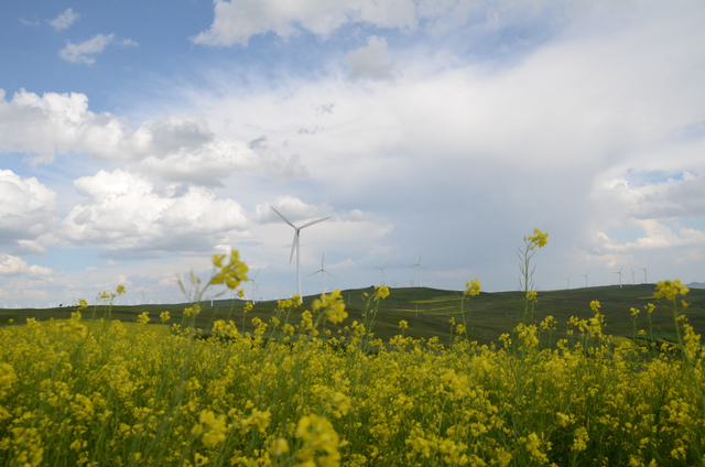 中国山地马19日草原开跑:探路“醉美”黄花沟