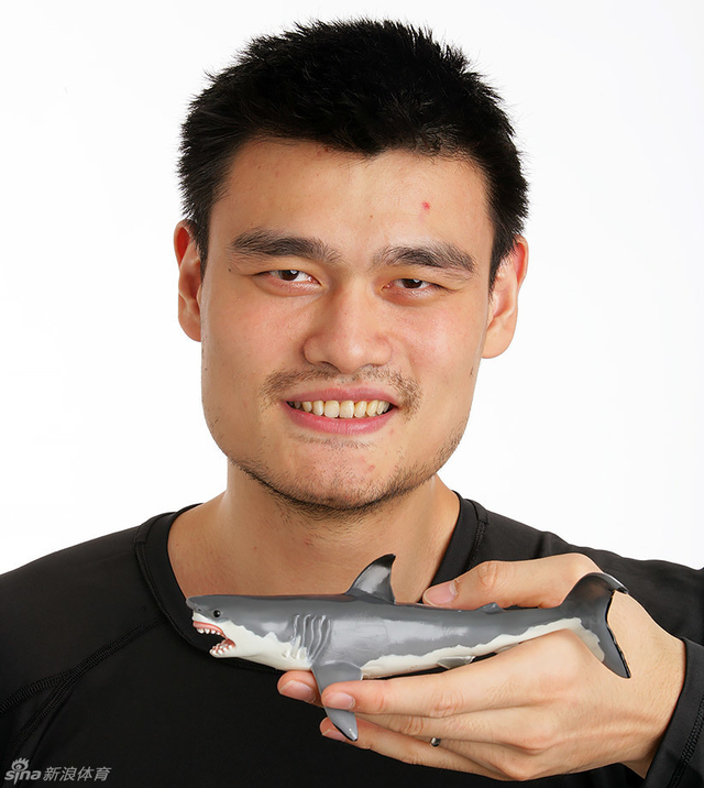 2008年姚明宣传保护鲨鱼
