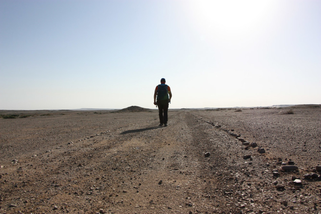 酒泉国际戈壁超马起跑