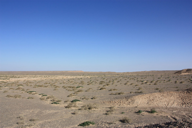 酒泉国际戈壁超马起跑