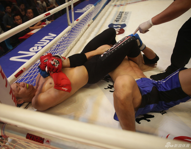 陈磊十字固霍永昌