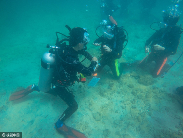 海南考取潜水证成新热点 年轻男女为主力军