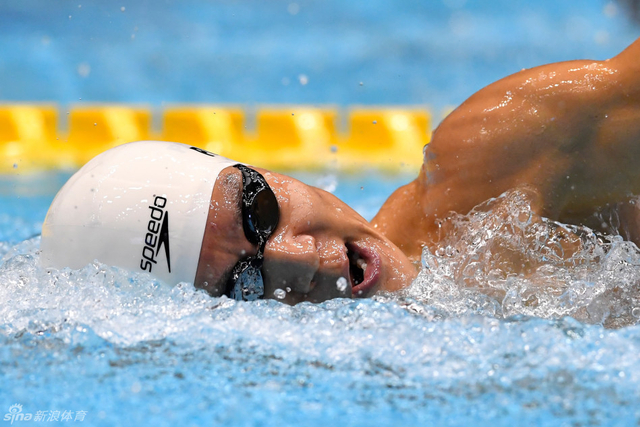 朴泰桓在比赛中