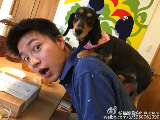 一样萌